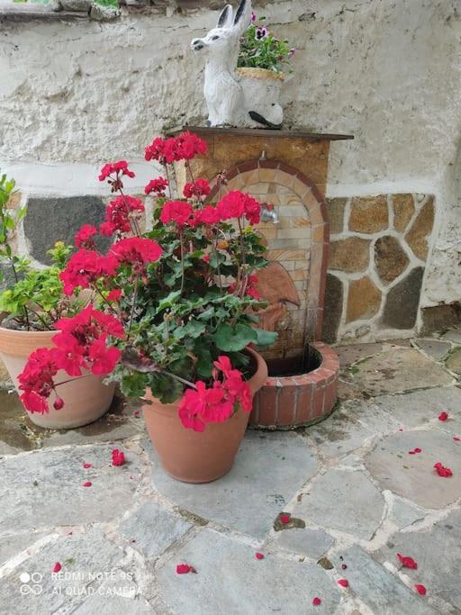 Paradise Bridge Apartment Xanthi